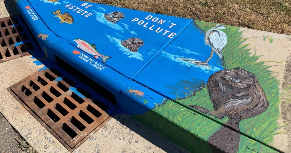 Storm Drain Art-Cedar St.