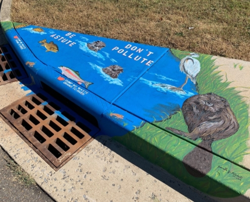 Storm Drain Art-Cedar St.