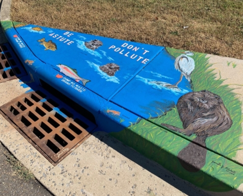 Storm Drain Art-Cedar St.