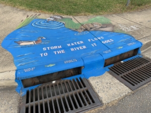 Juanita Mitchell Storm Drain Art
