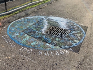 Julie Hayden Storm Drain Art