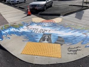 Lauren Whipple Storm Drain Art
