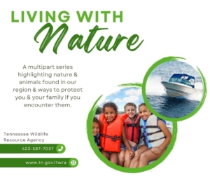 water safety