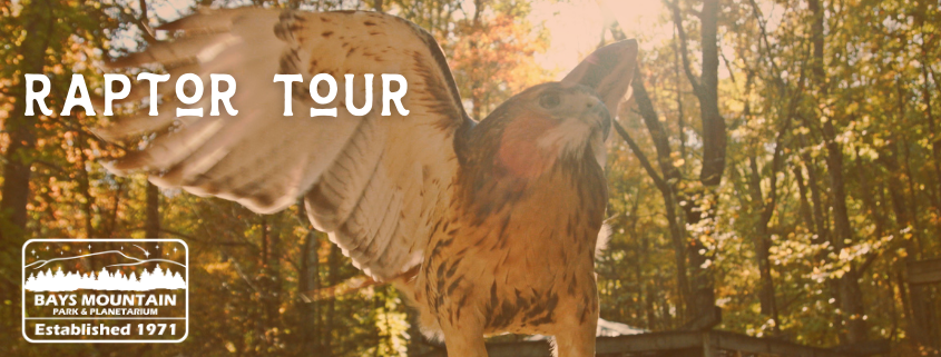 Raptor Tour