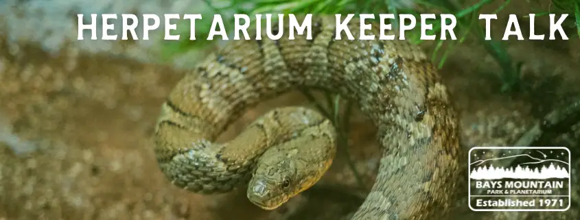 Herpetarium Keeper Talk