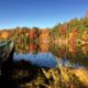 fall leaves around lake