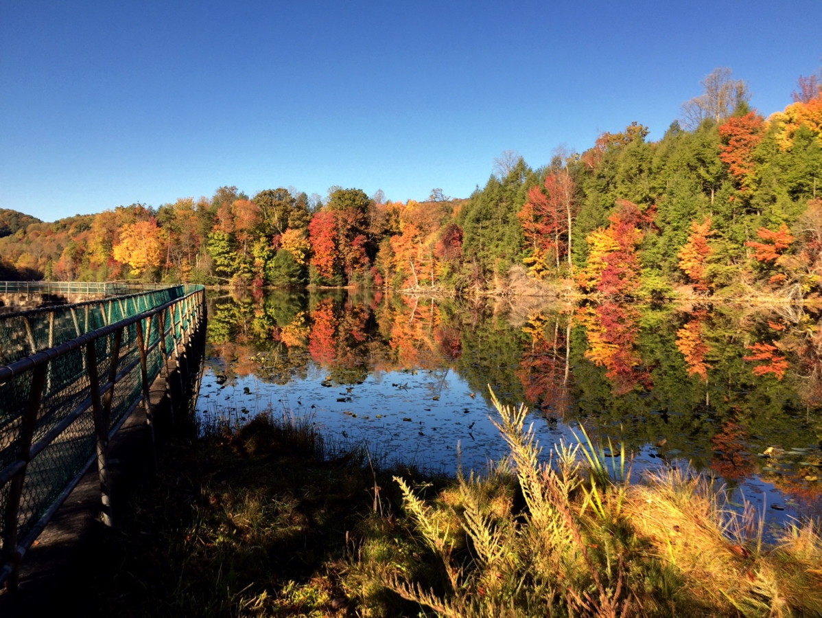 Fall Colors Are Showing At Bays Mountain – Kingsport, TN