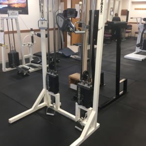 Weights in Exercise Room