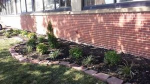 beautification winner