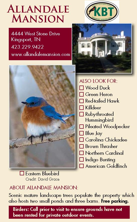 Allandale Mansion Birding Guide