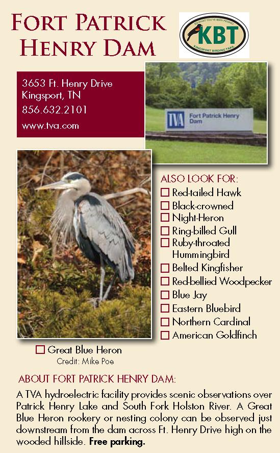 Fort Patrick Henry Dam Birding Guide