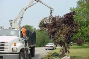 brush grabber truck