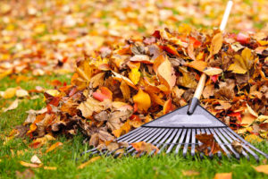 pile of leaves with rake